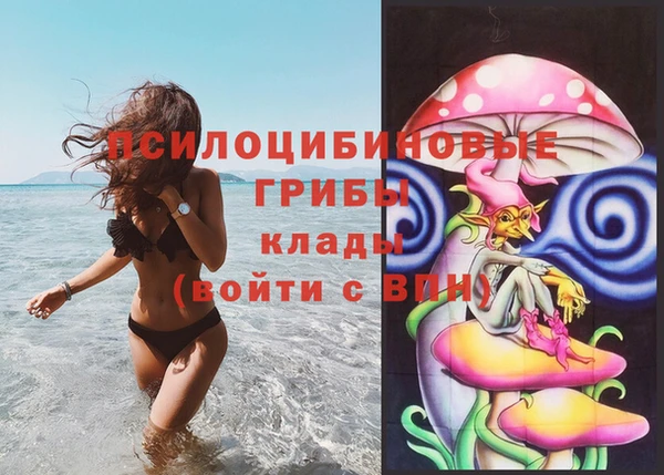 синтетический гашиш Алексеевка